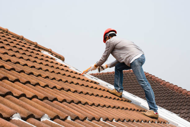 Best Roof Moss and Algae Removal  in Loveland Park, OH